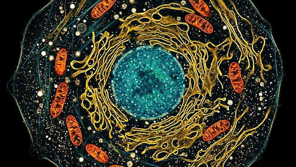 Illustration photoréaliste pour la salle S09 : La cellule, une usine automatisée